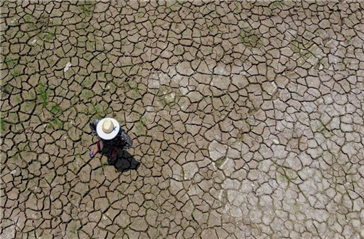 巴西近千城市遭受严重干旱困扰